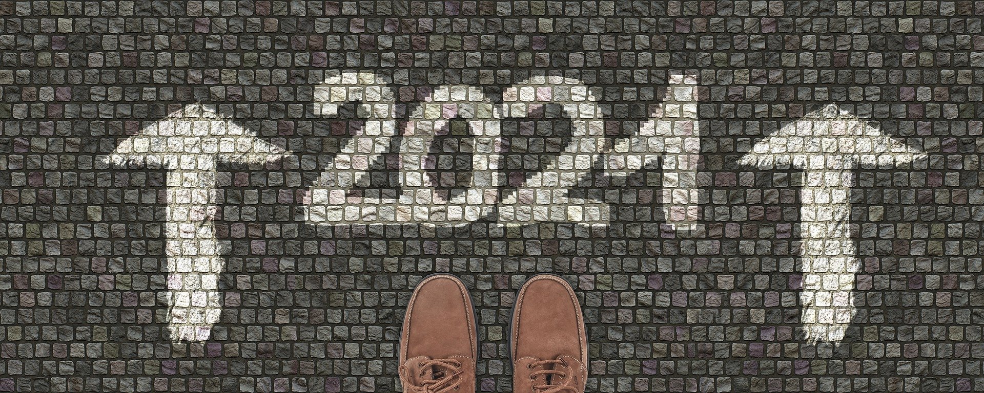 InsideSport in 2021